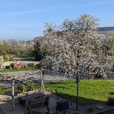 Ferienwohnung Weingut Harald Ludwig Osann-Monzel Exterior foto