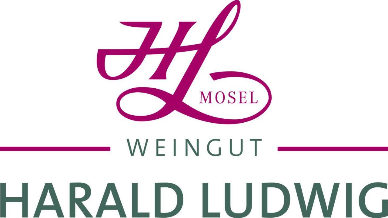 Ferienwohnung Weingut Harald Ludwig Osann-Monzel Exterior foto