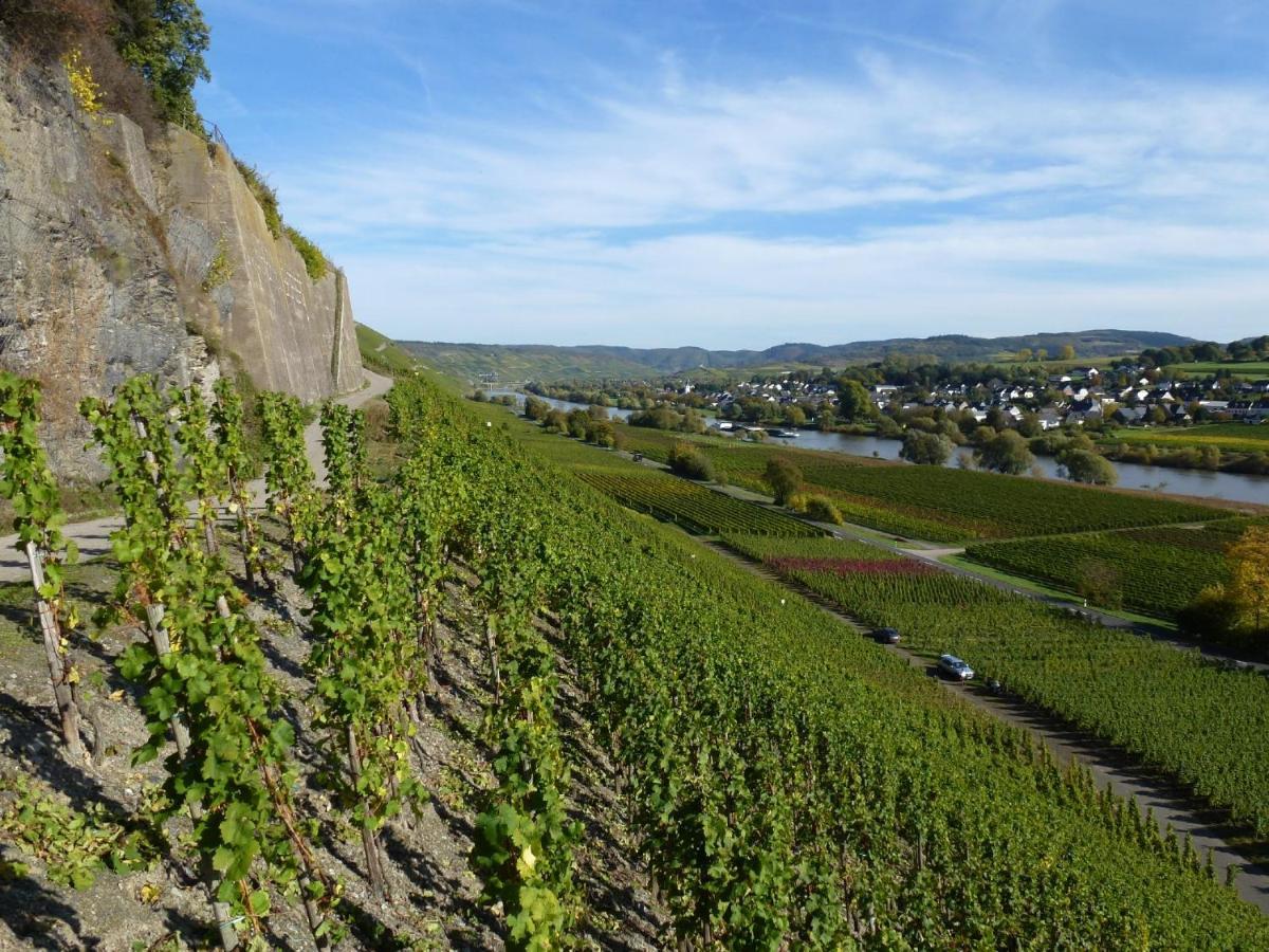 Ferienwohnung Weingut Harald Ludwig Osann-Monzel Exterior foto