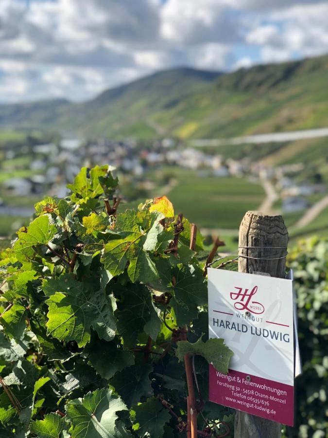 Ferienwohnung Weingut Harald Ludwig Osann-Monzel Exterior foto