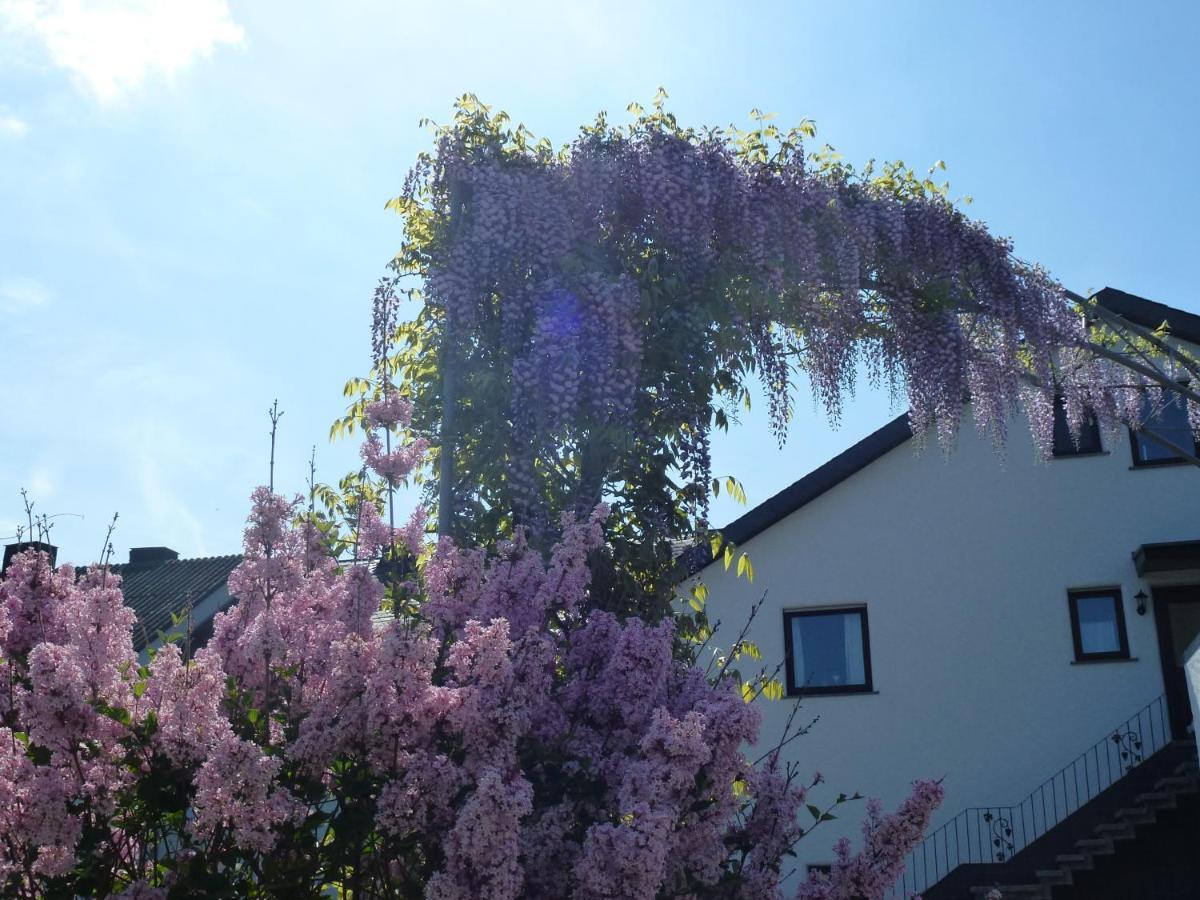 Ferienwohnung Weingut Harald Ludwig Osann-Monzel Exterior foto