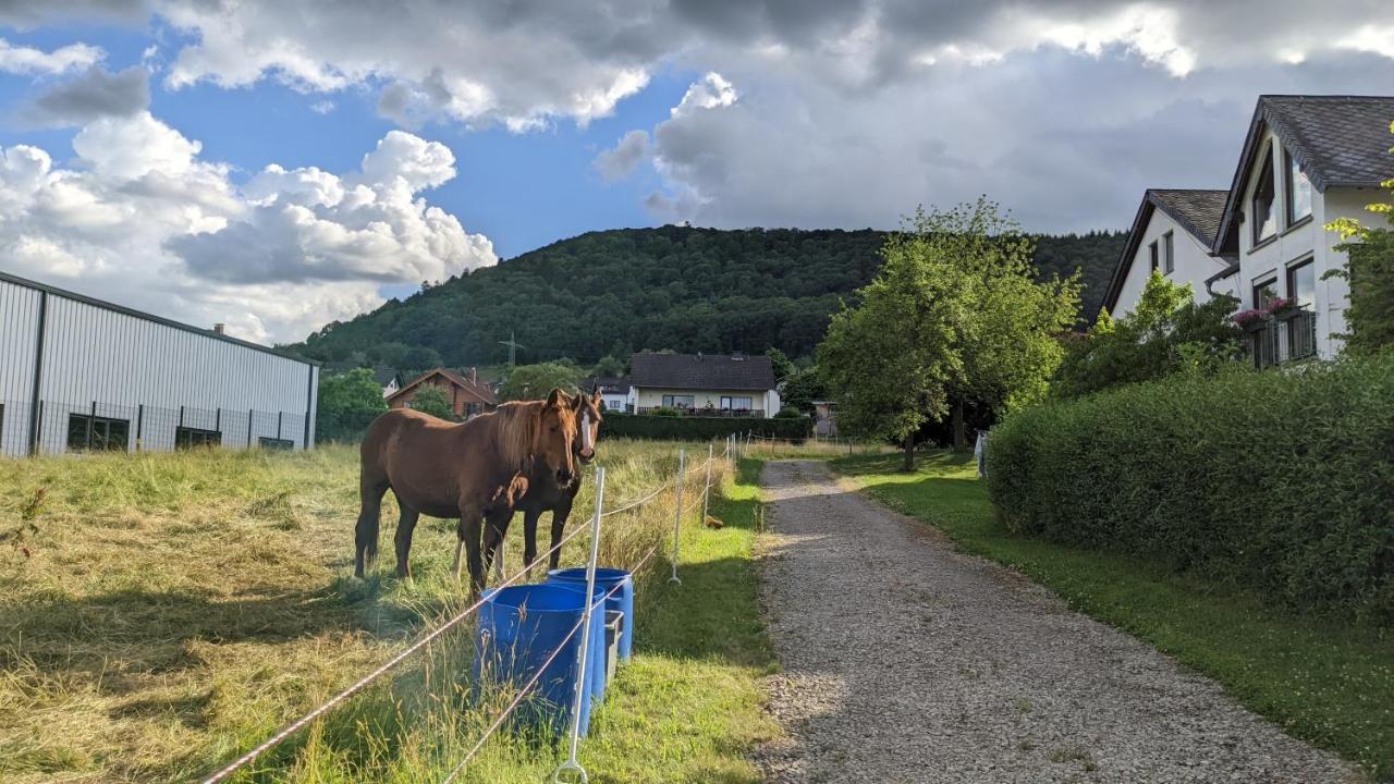 Ferienwohnung Weingut Harald Ludwig Osann-Monzel Exterior foto