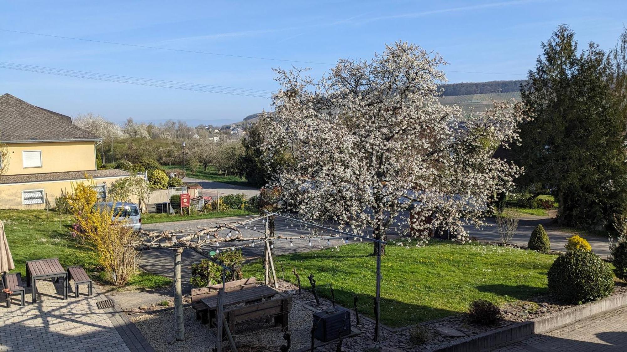 Ferienwohnung Weingut Harald Ludwig Osann-Monzel Exterior foto